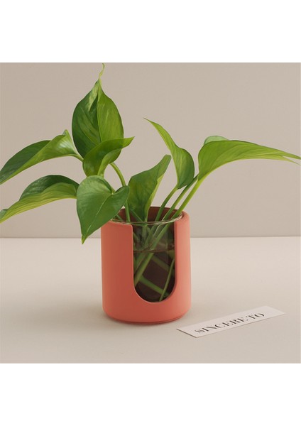 Esansiyel Yağ Mumluk Kalıbı Dıy Yuvarlak Kase (Yurt Dışından) fırsatları