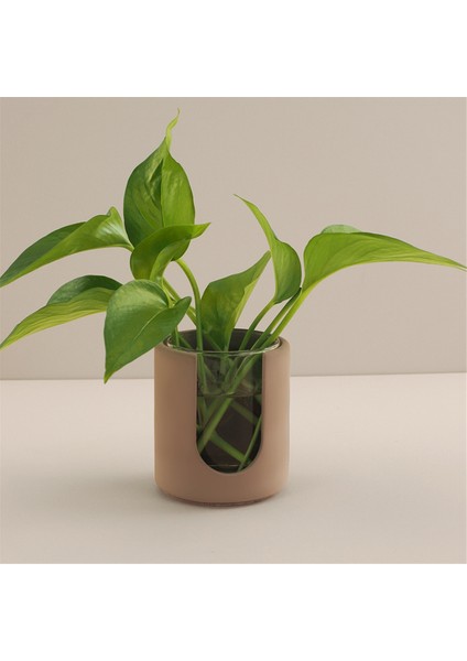 Esansiyel Yağ Mumluk Kalıbı Dıy Yuvarlak Kase (Yurt Dışından) indirimleri