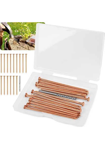 Ağaç Kütüğü Köklerini Öldürmek Için 15 Adet Bakır Çivi (Yurt Dışından)