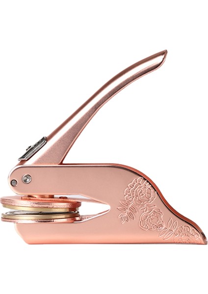 Baskı Çelik Baskı Masaüstü Çelik Baskı Mat Altın (Yurt Dışından)