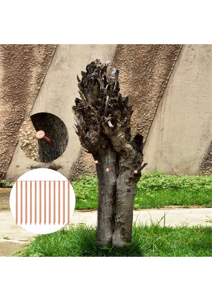 Ağaçları Kütükleri ve Kökleri Öldürmek Için 20 Adet Bakır Çivi - 35 Inç Uzunluk (Yurt Dışından) modelleri