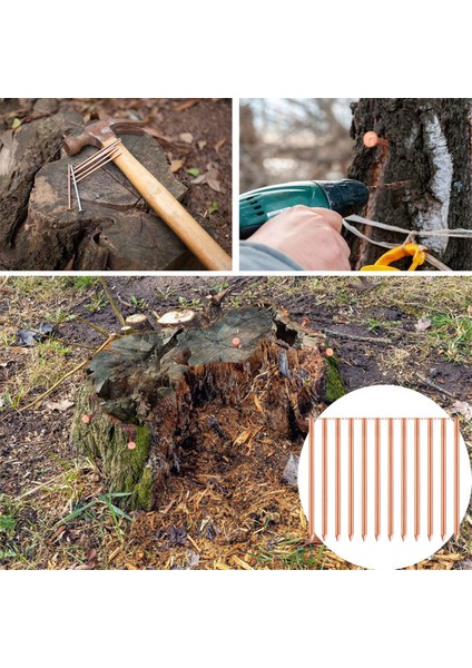 Ağaçları Kütükleri ve Kökleri Öldürmek Için 20 Adet Bakır Çivi - 35 Inç Uzunluk (Yurt Dışından) fırsatları