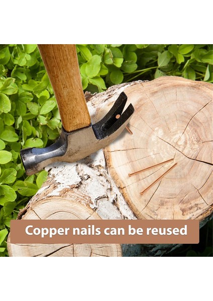 Ağaçları Öldürmek Için Bakır Çiviler 3.5 Inç Saf Bakır Çiviler Toplu (Yurt Dışından) fırsatları