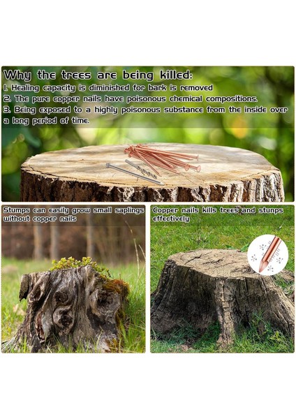 Ağaçları Öldürmek Için 40 Adet Bakır Çivi 3.5 Inç Saf Bakır Çivi (Yurt Dışından) fırsatları