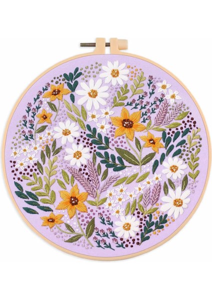 Iplik Iğneli Nakış Setid (Yurt Dışından)