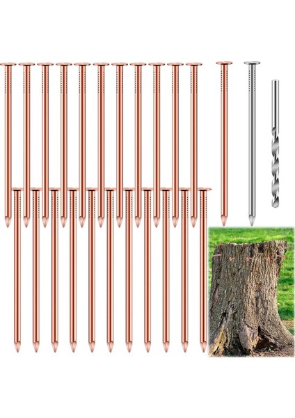 Ağaçları Öldürmek Için 25 Adet Bakır Çivi 3.5 Inç Saf Bakır Çivi (Yurt Dışından) fiyatları