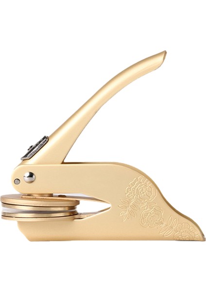 Baskı Çelik Baskı Masaüstü Çelik Baskı Mat Gül Altın (Yurt Dışından)