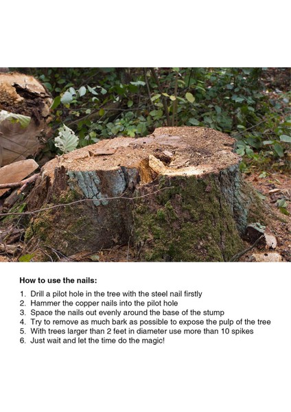 Ağaç Kütüğü Kökünü Öldürmek Için Bakır Çiviler 35 Inç Uzunluğunda Çivi Sivri Uçları (Yurt Dışından) fırsatları