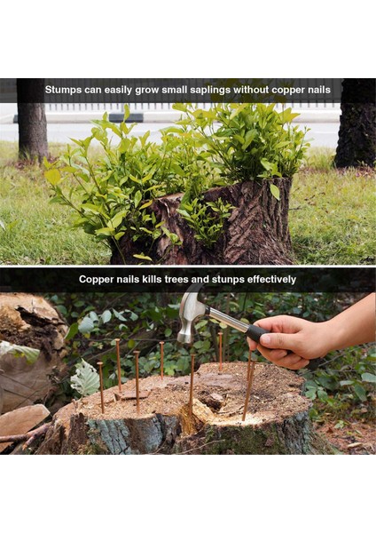 Ağaç Kütüğü Kökünü Öldürmek Için Bakır Çiviler 35 Inç Uzunluğunda Çivi Sivri Uçları (Yurt Dışından) indirimleri