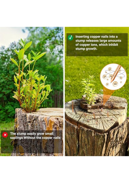 Ağaç Kütüğü Köklerini Öldürmek Için 25 Adet Bakır Çivi (Yurt Dışından) modelleri