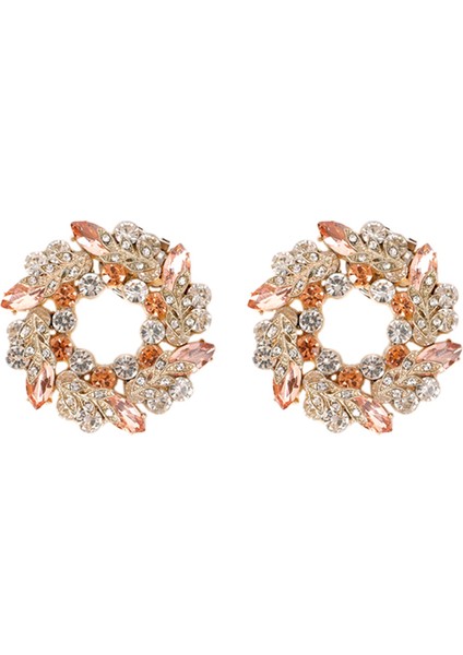 2 Adet Bayan Ayakkabı Klipsi Düğün Kadın Gelin Yüksek Topuklu Charm Tokası (Yurt Dışından)