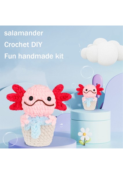 Salamander Örgü Seti Örgü Şişleri Peluş Bebek Gösterildiği Gibi (Yurt Dışından) fiyatları