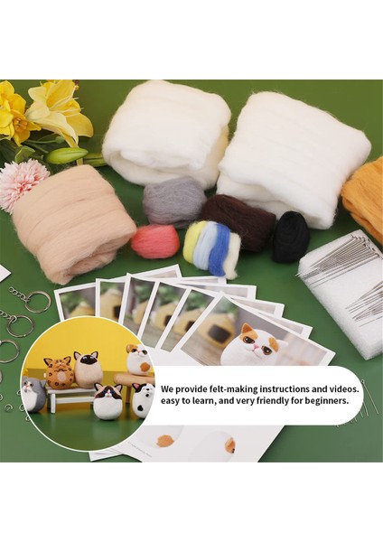 Iğne Keçeleme Seti Yün Keçeleme Seti El Sanatları Seti (Yurt Dışından) indirimleri