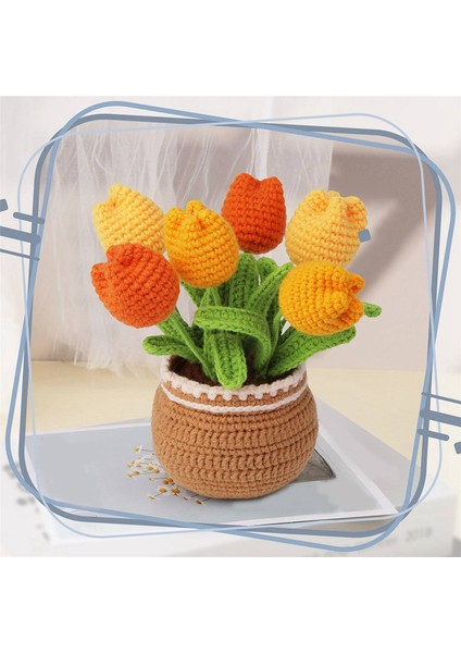 Tığ Işi Kiti Dıy Lale Tığ Işi Kiti Örgü Iplik Iğneleri Kolay (Yurt Dışından) indirimleri