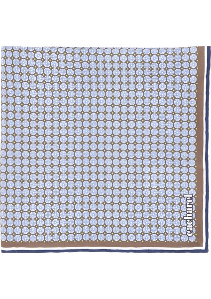 Erkek Kahverengi Desenli Mendil 50307080-400 modelleri