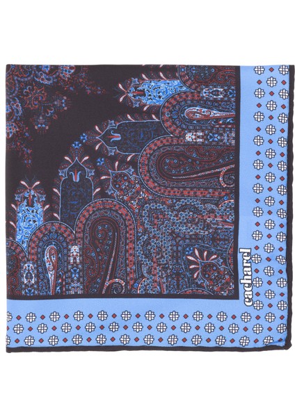 Erkek Mavi Desenli Mendil 50307075-300 modelleri