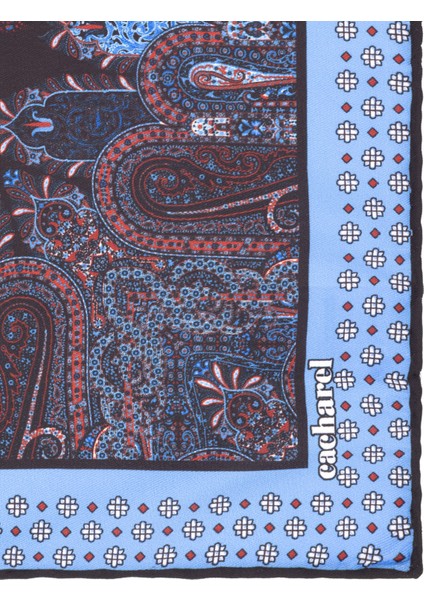 Erkek Mavi Desenli Mendil 50307075-300 fırsatları