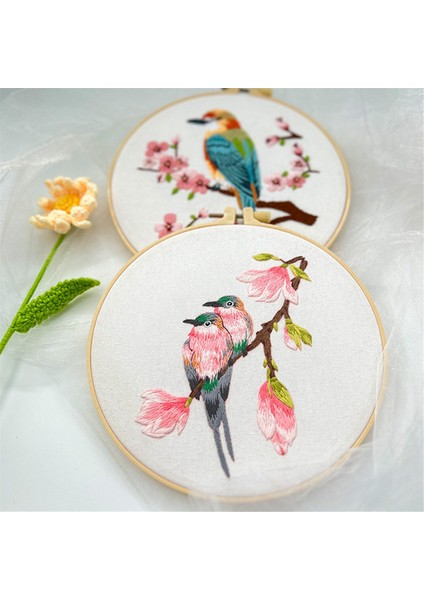 Yetişkinler Için 4'lü Nakış Seti Nakış Seti Birdie (Yurt Dışından) fırsatları