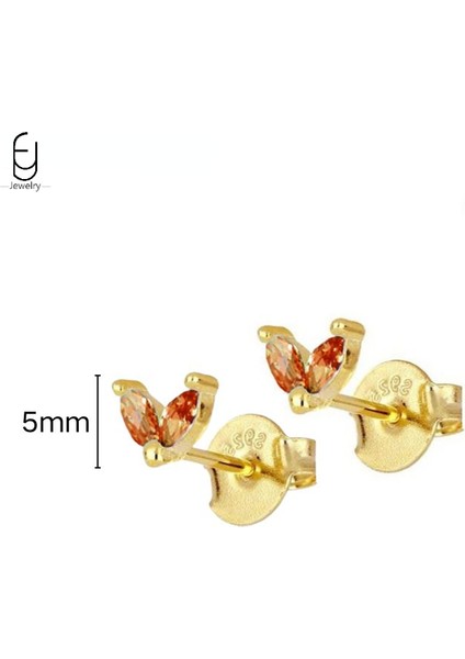 925 Ayar Gümüş Saplama Küpe Moda Halka Küpe Turuncu/sarı Kolye Altın Küpe Yüksek Takı Kadın Hediye (Yurt Dışından)