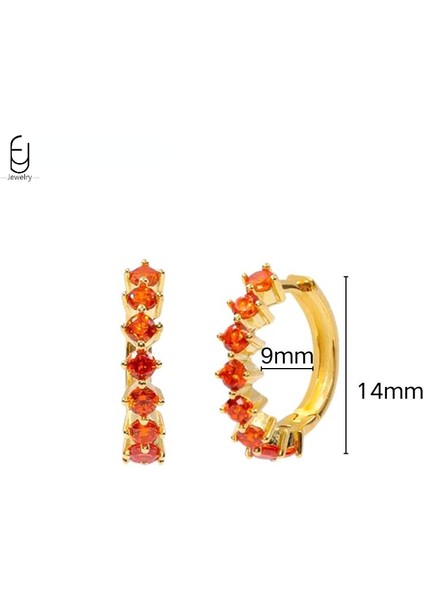 925 Ayar Gümüş Saplama Küpe Moda Halka Küpe Turuncu/sarı Kolye Altın Küpe Yüksek Takı Kadın Hediye (Yurt Dışından)