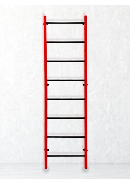 Duvara Monte Isveç Duvarı 240 Cm fırsatları