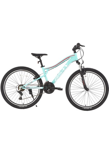 Gazelle Dağ Bisikleti 35 cm V 26 Jant 21 Vites Turkuaz Koyu Pembe