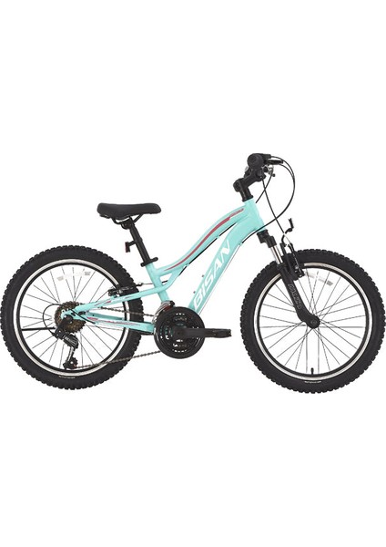 Gazelle Çocuk Bisikleti 28 cm V 20 Jant 18 Vites Turkuaz Koyu Pembe