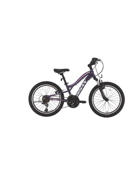 Gazelle Çocuk Bisikleti 28 cm V 20 Jant 18 Vites Metalik Mor Açık Pembe