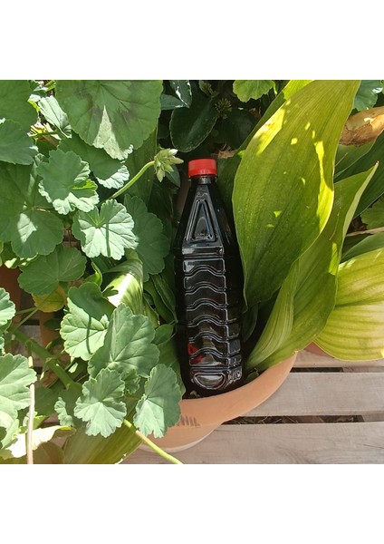 Harnup Pekmezi indirimleri