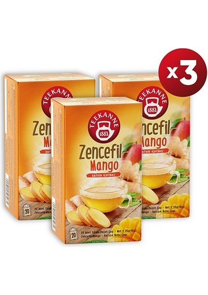 Teekanne Zencefil - Mango Karışık Bitki Çayı