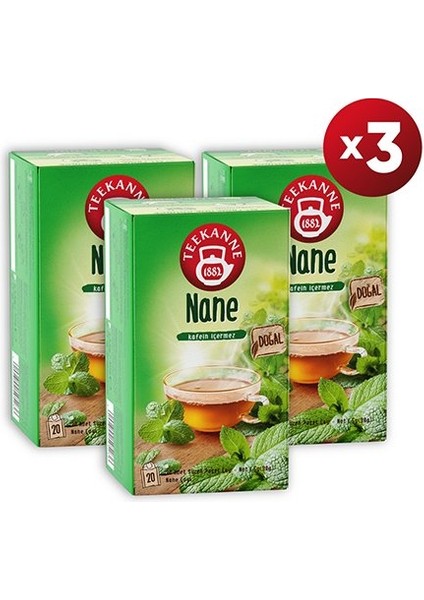 Teekanne Nane Çayı