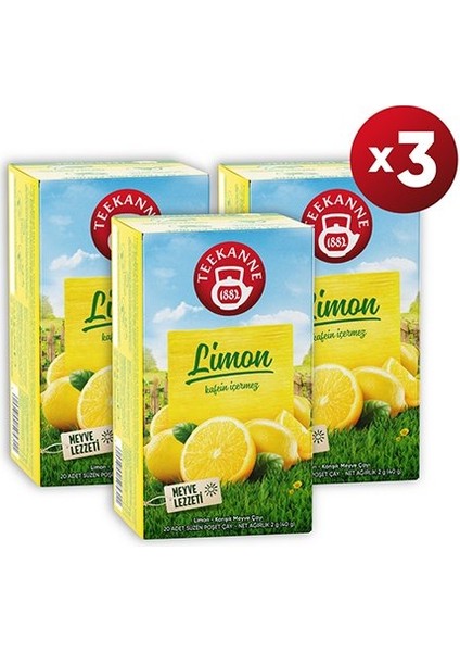 Teekanne Limon Karışık Meyve Çayı