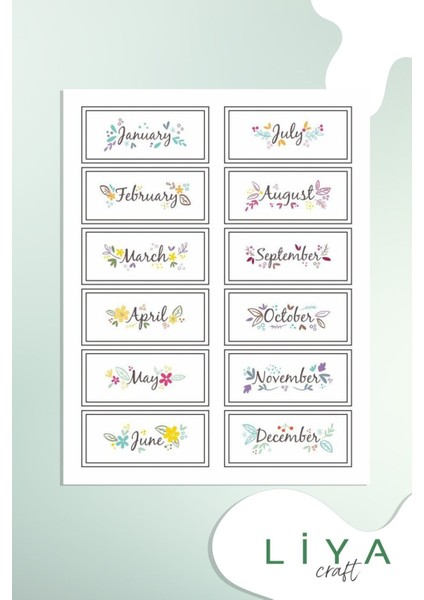 Aylar Planlayıcı Sticker Set Ajanda Bullet Journal Için Uygun Set