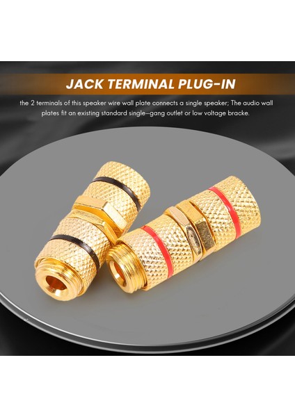 Paket Tek Gang 1.0 Hoparlör Kablosu Duvar Plakası (Banana Plug Duvar Plakası), 1.0 Hoparlör Için, Beyaz (Yurt Dışından)