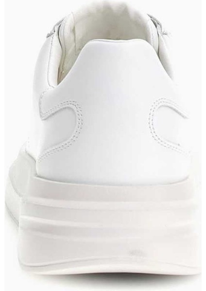 Elba Bağcıklı Sneaker