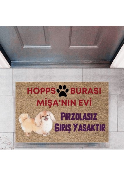 Kapı Önü Paspası Dekoratif Dijital Baskı Hopps P-2474