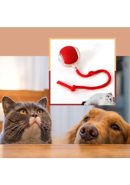 Şarjlı Otomatik Hareketli Kedi Köpek Için 360 Derece Dönen Interaktif Akıllı Oyun Topu