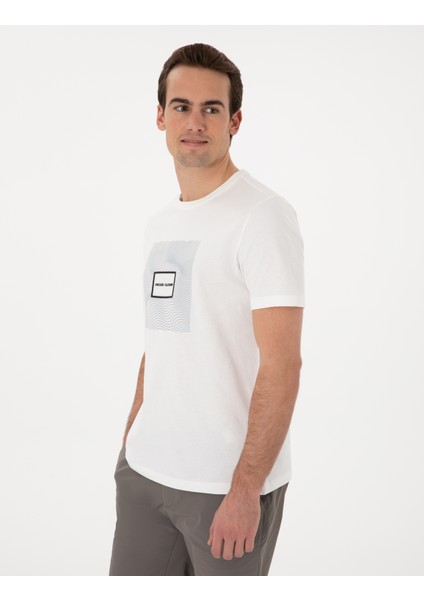 Erkek Ekru Regular Fit Isıya Duyarlı Renk Değiştiren Baskı Çerçeveli Tişört 50302622-VR019
