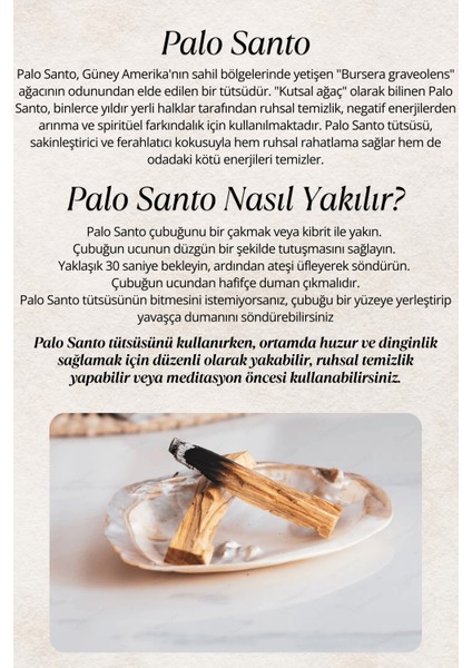 Nazar Tütsü Demeti Arınma 3'lü Ritüel Set, 2 Adet Palo Santo ve Deniz Kabuğu ( Tuz Hediyeli)