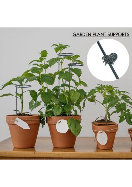 12 Adet Yeşil Bitki Destek Kazığı, 40 Cm/ 15,9 Inç Tek Saplı Bitki Desteği ve 20 Adet Yeşil Phalaenopsis Klipsi (Yurt Dışından)