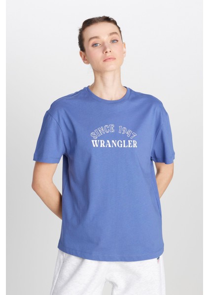 Regular Fit Normal Kesim Bisiklet Yaka %100 Pamuk Mavi Tişört