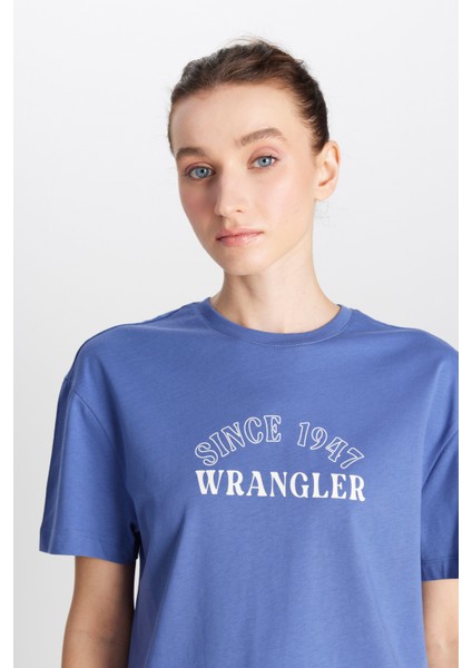 Regular Fit Normal Kesim Bisiklet Yaka %100 Pamuk Mavi Tişört fırsatları