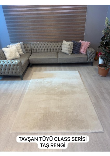 Tavşan Tüyü Taş Yumuşak Makinada Yıkanabilir Kaymaz Kalın Dekoratif Post Halı