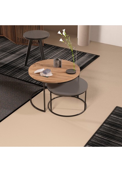 Devin Dekor Orta Sehpa Ikili Lüx Specıal Antrasit Ceviz-Siyah Demir fiyatları