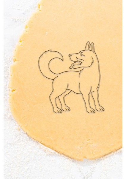 Alman Kurdu Kurabiye Kalıbı, Hamur Şekillendirici