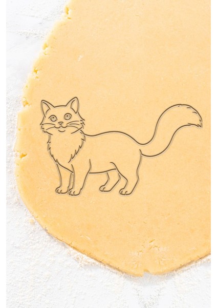 Hanım Kedi Kurabiye Kalıbı, Hamur Şekillendirici