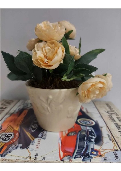 Kendinden Kelebek Desenli Sarı Beyaz Yapay Çiçekli Yeşil Yapraklı Topraklı Yuvarlak Saksı 1 Adet fiyatları