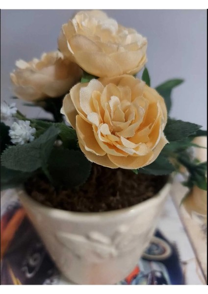 Kendinden Kelebek Desenli Sarı Beyaz Yapay Çiçekli Yeşil Yapraklı Topraklı Yuvarlak Saksı 1 Adet modelleri