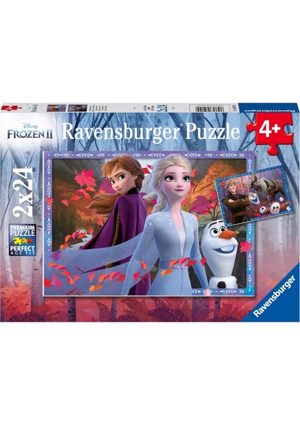 Puzzle, Wd Frozen2, 2X24 Parça
