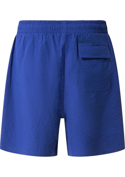 Deco Palms Rc Beachshort Erkek Şort